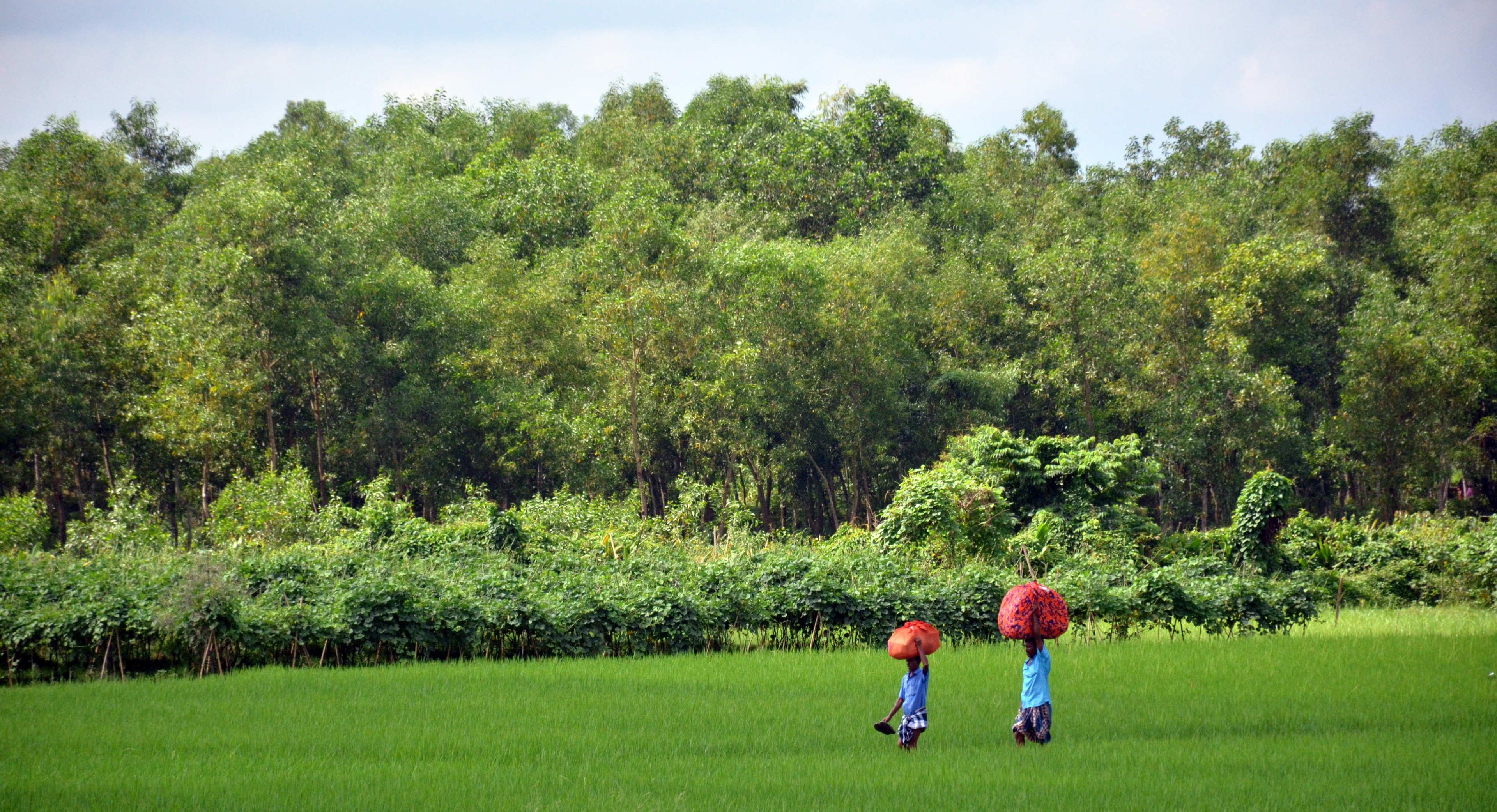 Bangladesh