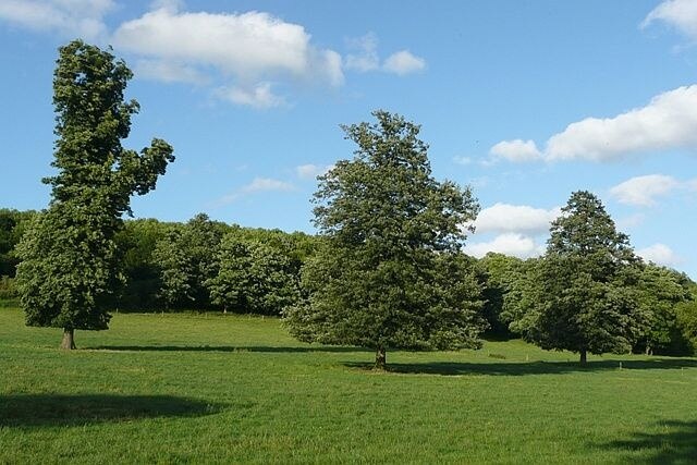 Mapledurham, Reading, England, GB