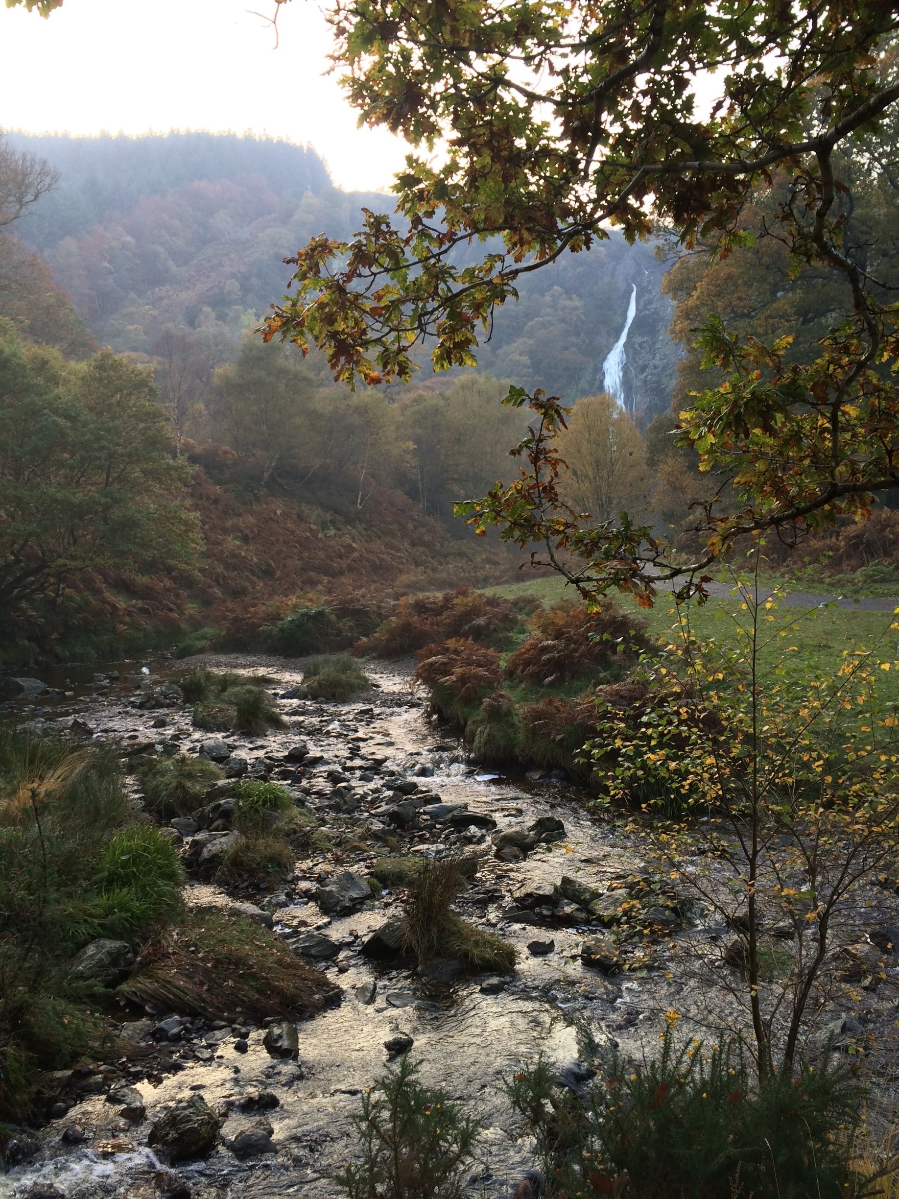 Powerscourt Waterfall, Enniskerry, County Wicklow, IE