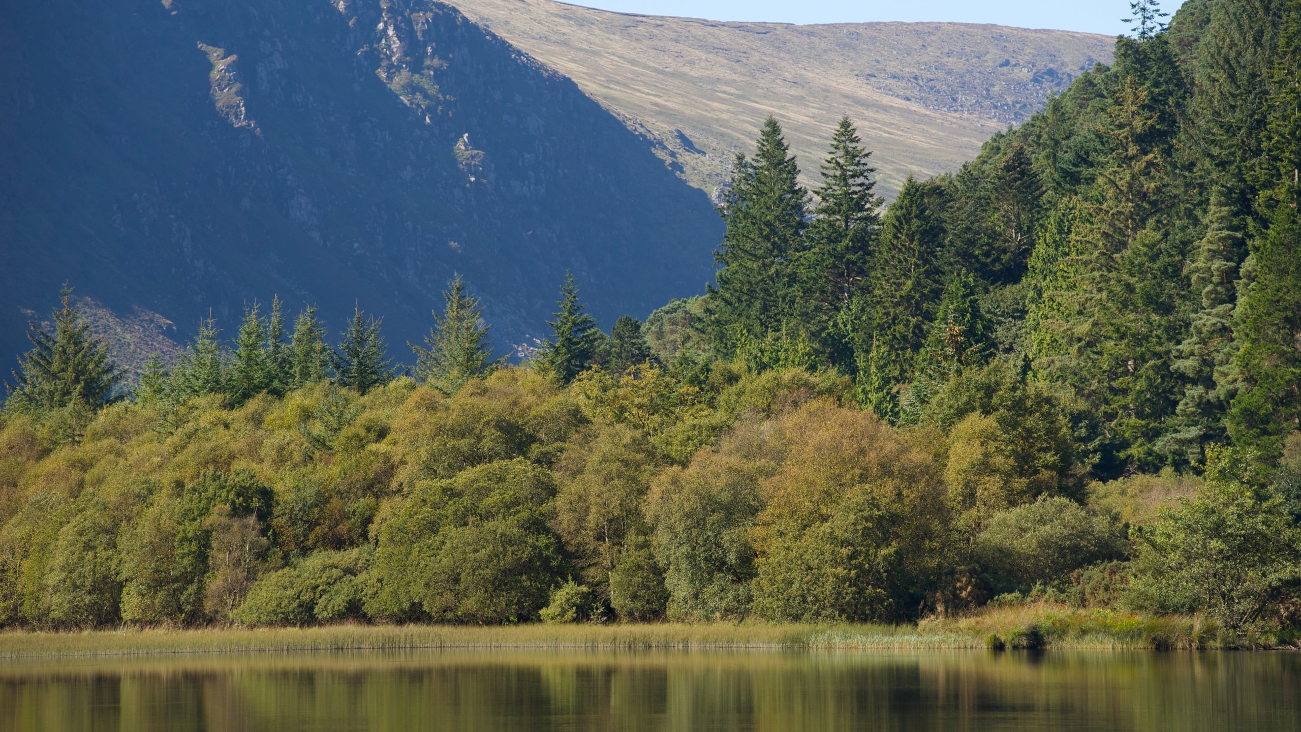 Lough Dan, County Wicklow, IE