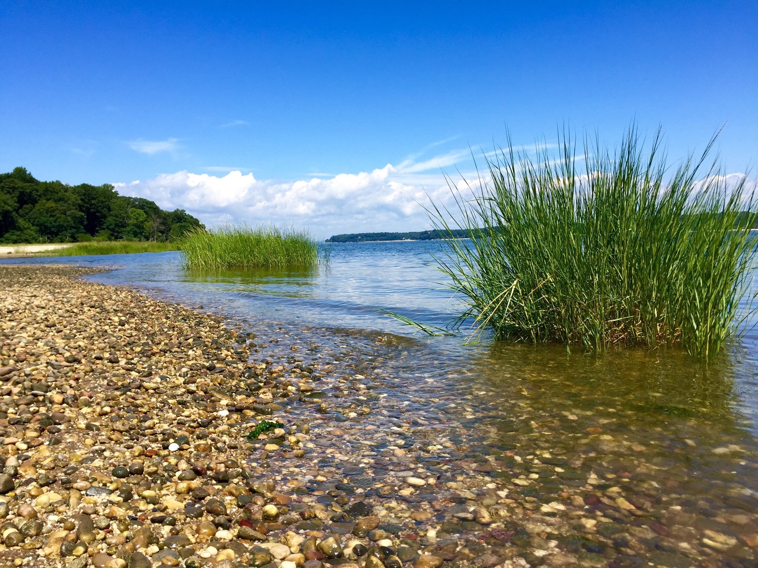 Oyster Bay, New York, US