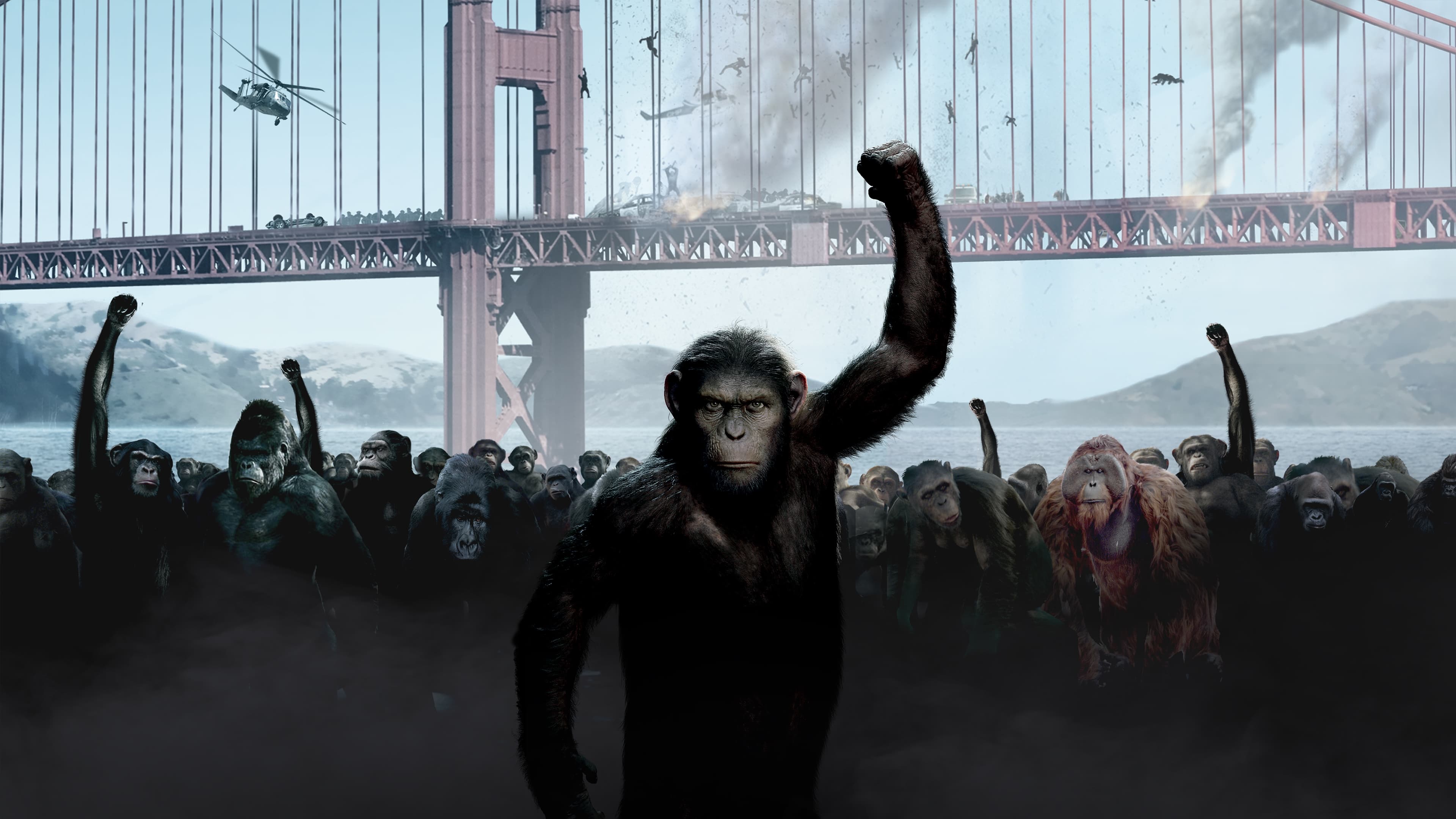 Rise of the Planet of the Apes poster