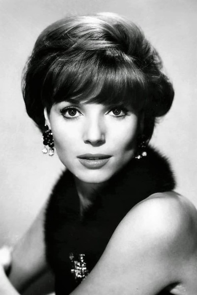 Elsa Martinelli profile image