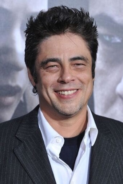 Benicio del Toro profile image