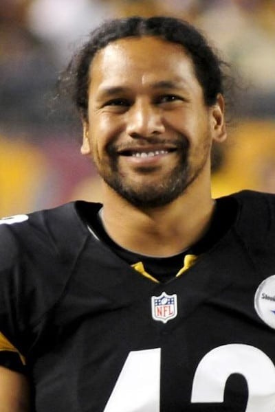 Troy Polamalu profile image